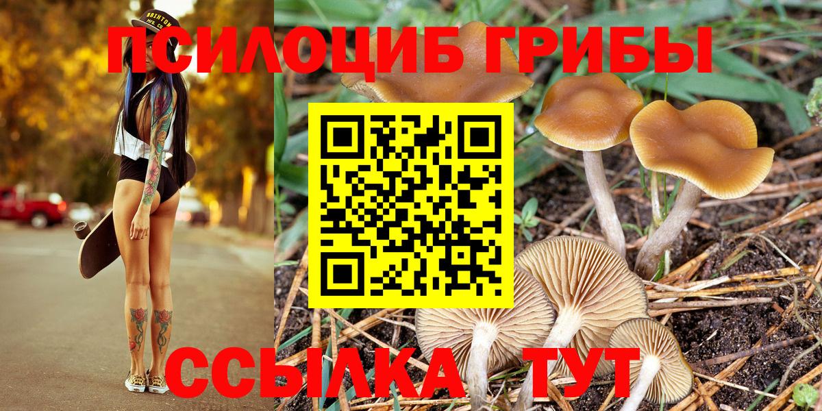 Псилоцибиновые грибы Psilocybe  Вход с VPN  Орехово-Зуево 